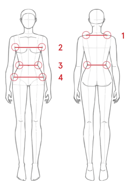 Illustration showing where to measure shoulder, chest, waist and hips